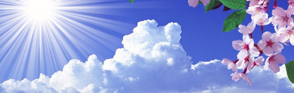 ネットショップ運営と店長代行　運営代行を行っています。